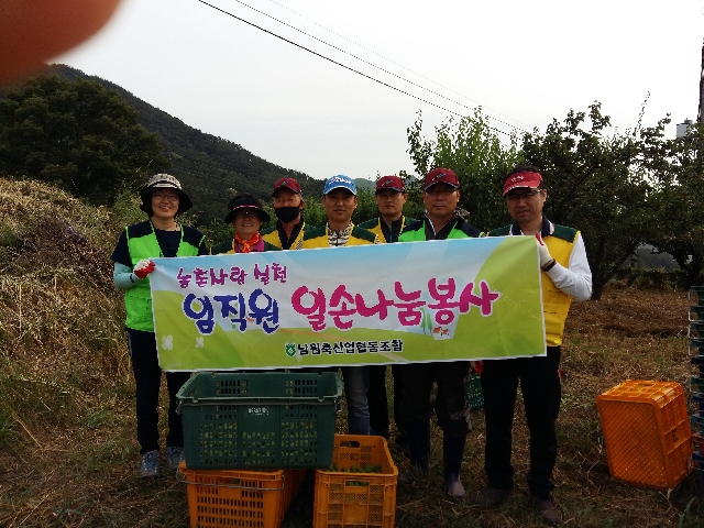 농촌봉사활동 실시 대표 이미지